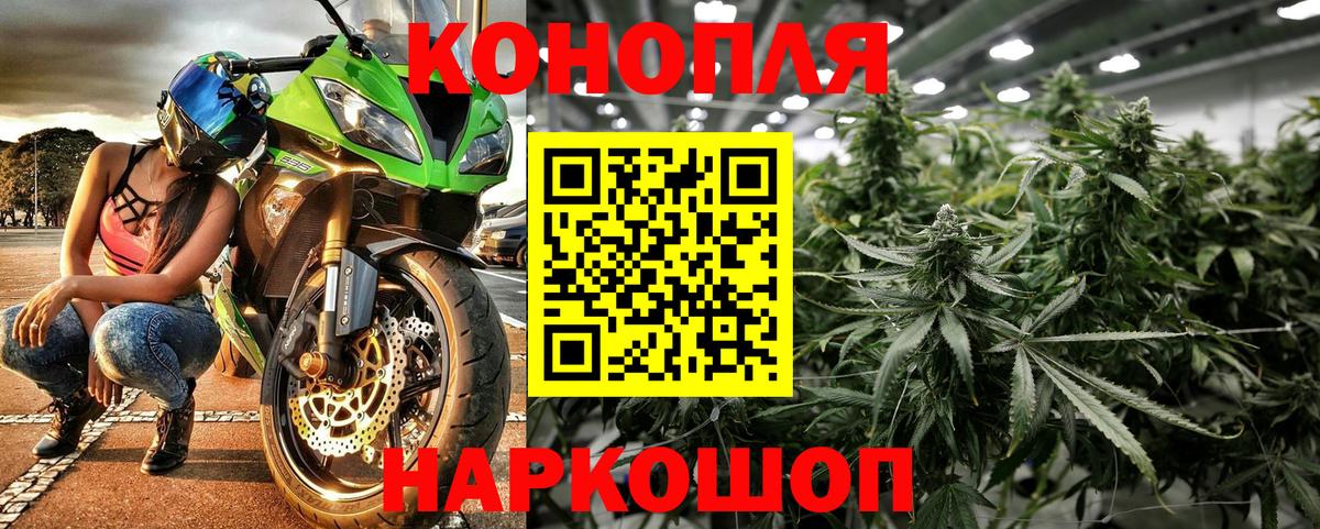Бошки Шишки MAZAR Новозыбков